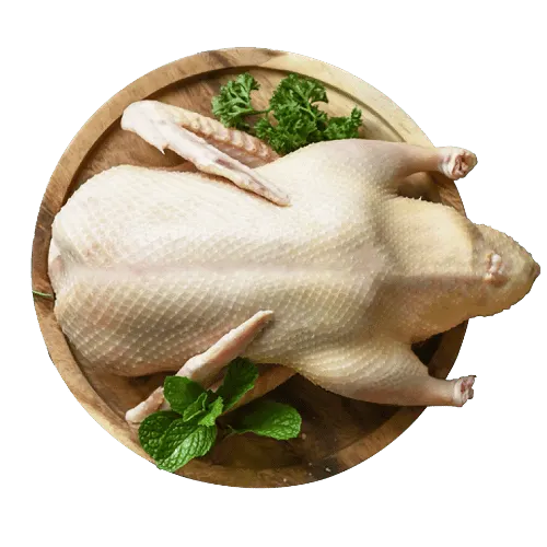 POULTRY